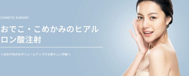 TAクリニック　銀座院　ヒアルロン酸