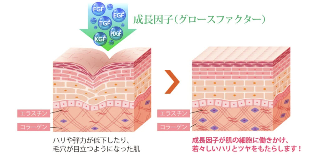 TCB東京中央美容外科 グロスファクター 口コミ