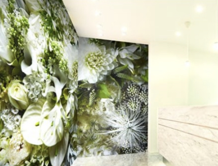 TCB東京中央美容外科 札幌大通院 院内画像