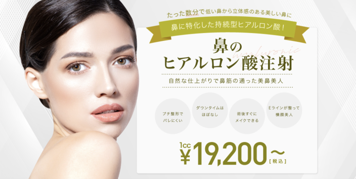 TCB東京中央美容外科 東京　ヒアルロン酸