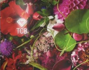 TCB東京中央美容外科 名古屋 院内画像