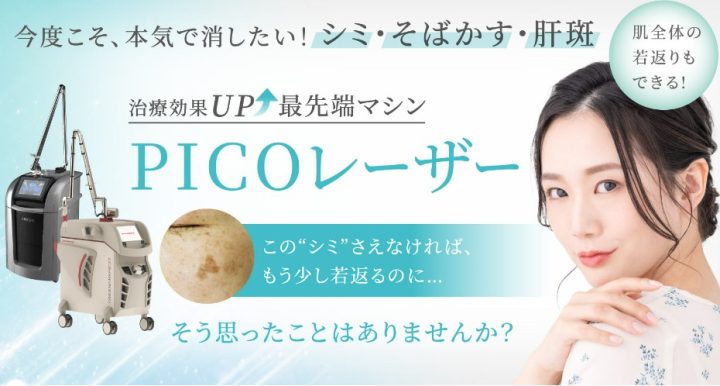 聖心美容クリニック シミ取り(ピコレーザー)