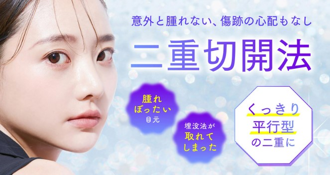 聖心美容クリニック 二重 切開