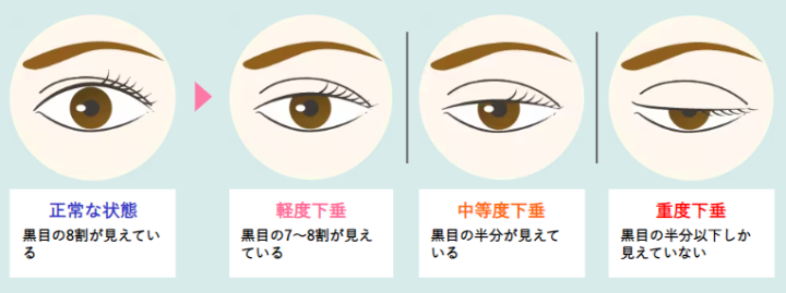 湘南美容クリニック