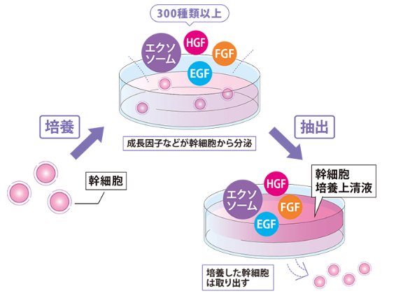 品川美容外科 エクソソーム点滴 大阪 製剤