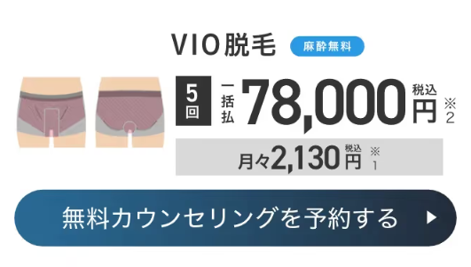 メンズエミナル