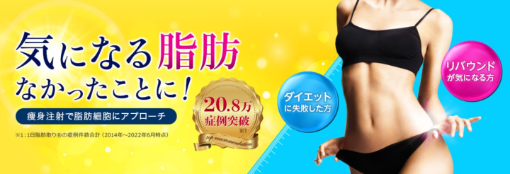 品川美容外科 脂肪溶解注射