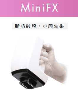 インモード ミニFX