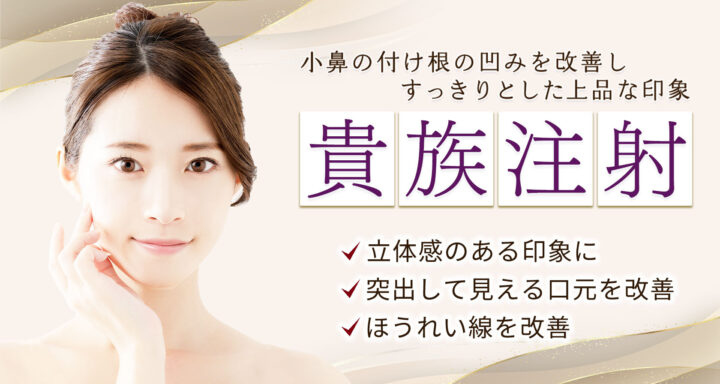 聖心美容クリニック 貴族フィラー