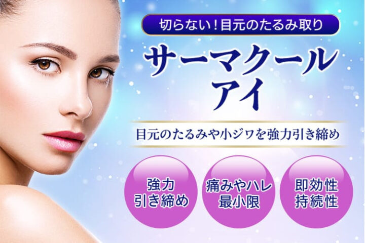 品川 サーマクールアイ