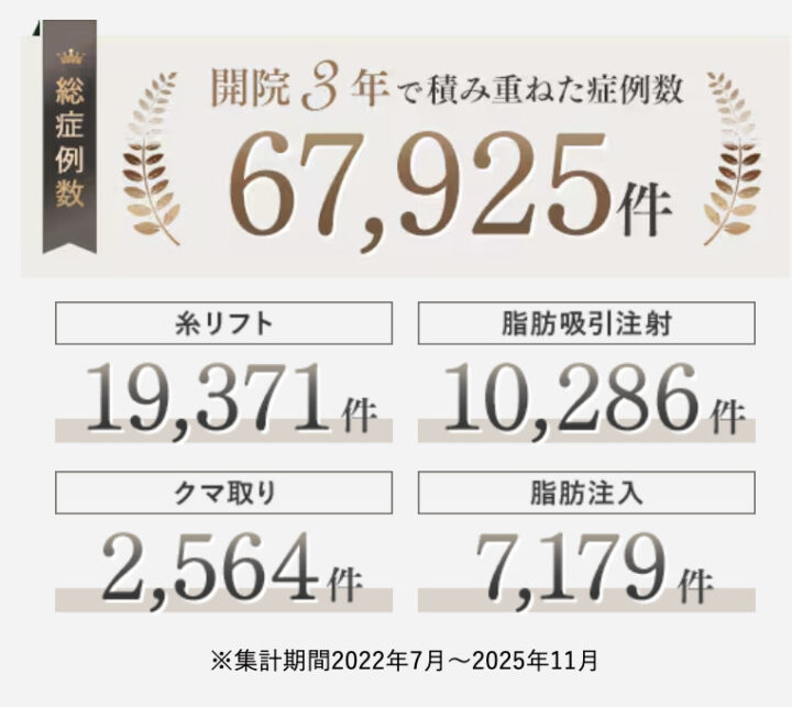 イテウォンビューティークリニック_実績