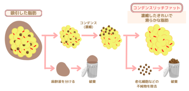 コンデンスリッチファット オリジナル画像