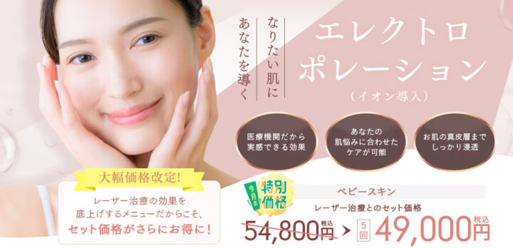 湘南　エレクトロポレーション
